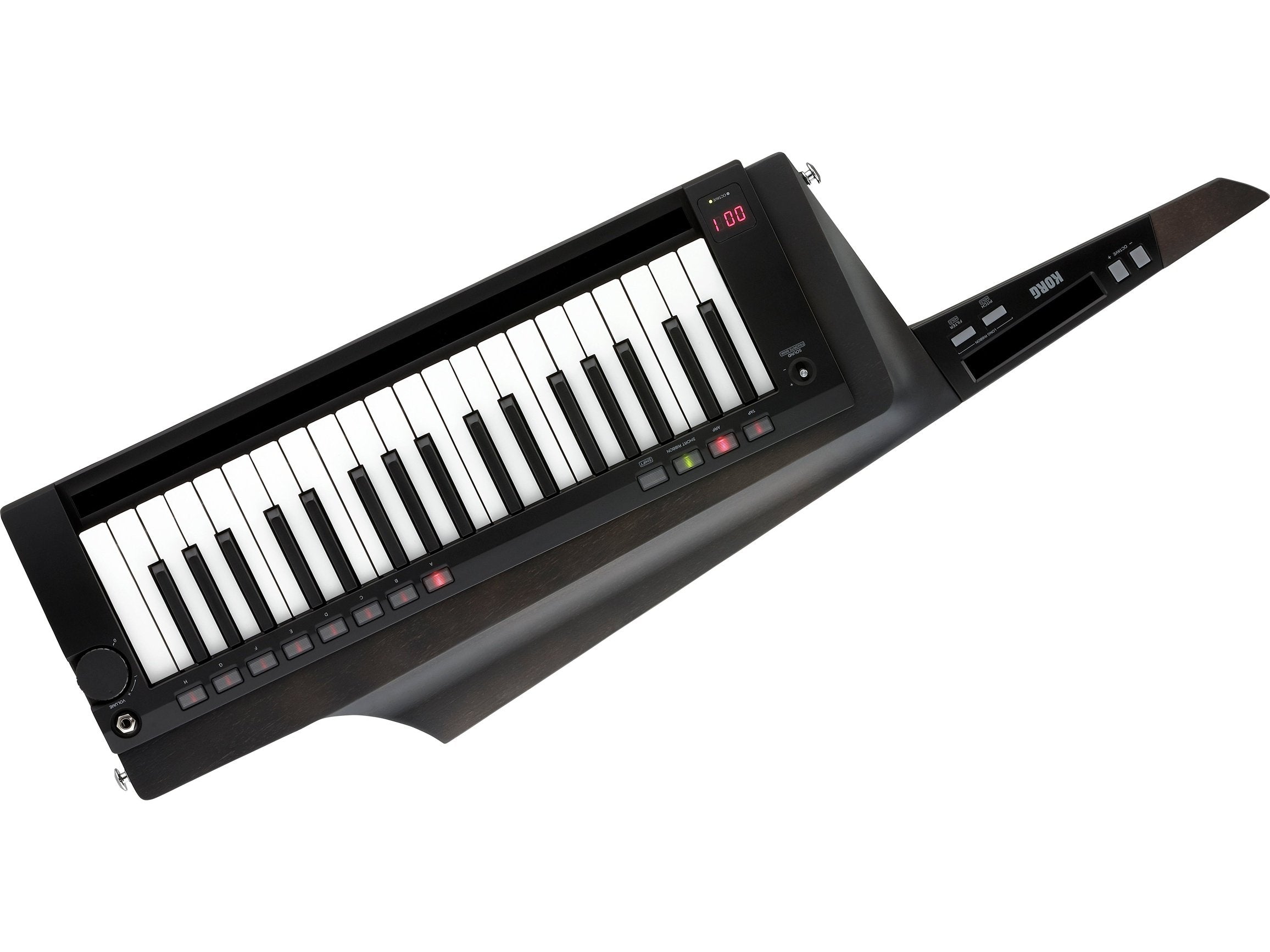 Korg Refurbished RK-100S 2 - Black 1